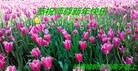 ֹ,󷨵ӹףʦ(22)
