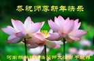 ֹ,ϴ󷨵ӹףʦ(24)
