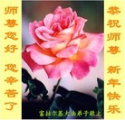 Published on 12/29/2015 ���ֹ�,��½�󷨵��ӹ�ףʦ���������(36��)
