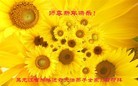 ֹ,󷨵ӹףʦ(26)
