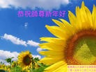 ֹ,㶫󷨵ӹףʦ(28)
