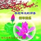 Published on 1/1/2016 ���ֹ�,��½�󷨵��ӹ�ףʦ���������(44��)

