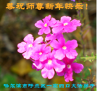 Published on 1/1/2016 ���ֹ�,��½�󷨵��ӹ�ףʦ���������(24��)
