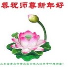 Published on 1/1/2016 ���ֹ�,��½�󷨵��ӹ�ףʦ���������(42��)
