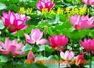 ֹ,󷨵ӹףʦ(27)
