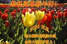 ֹ,ľ˹󷨵ӹףʦ(21)
