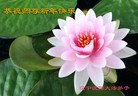 ֹ,󷨵ӹףʦ(27)
