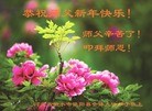 ֹ,ӱ󷨵ӹףʦ(26)
