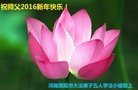 ֹ,ϴ󷨵ӹףʦ(29)
