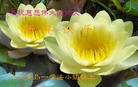 ֹ,ൺ󷨵ӹףʦ(27)
