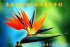 ֹ,󷨵ӹףʦ(25)
