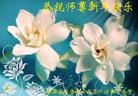 ֹ,󷨵ӹףʦ(25)
