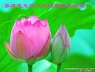 ֹ,ϴ󷨵ӹףʦ(34)
