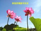 ֹ,󷨵ӹףʦ(22)
