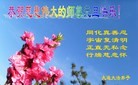 ֹ,󷨵ӹףʦ(23)
