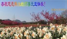 ֹ,󷨵ӹףʦ(23)
