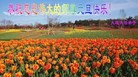 ֹ,󷨵ӹףʦ(23)
