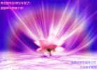 ֹ,󷨵ӹףʦ(25)
