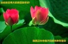ֹ,󷨵ӹףʦ(25)
