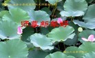 ֹ,󷨵ӹףʦ(28)
