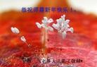 ֹ,󷨵ӹףʦ(22)
