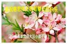 ֹ,󷨵ӹףʦ(28)
