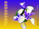 ֹ,ػʵ󷨵ӹףʦ(23)
