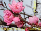 ֹ,մ󷨵ӹףʦ(26)
