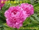 ֹ,Ϋ󷨵ӹףʦ(30)
