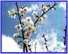 ֹ,󷨵ӹףʦ(26)

