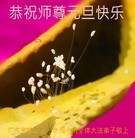 Published on 12/29/2015 ���ֹ�,��½�󷨵��ӹ�ףʦ���������(38��)
