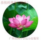 Published on 12/29/2015 ���ֹ�,��½�󷨵��ӹ�ףʦ���������(38��)
