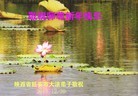 ֹ,󷨵ӹףʦ(27)
