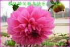 ֹ,󷨵ӹףʦ(28)
