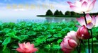 ֹ,󷨵ӹףʦ(29)
