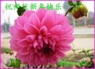 ֹ,󷨵ӹףʦ(28)
