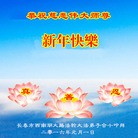 Published on 1/1/2016 ���ֹ�,��½�󷨵��ӹ�ףʦ���������(25��)
