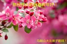 ֹ,󷨵ӹףʦ(28)
