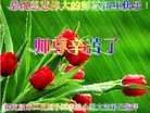 ֹ,󷨵ӹףʦ(31)
