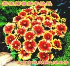 Published on 2/16/2015 ���ֹ�,��½�󷨵��ӹ�ףʦ������(31��)
