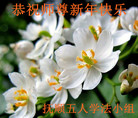 ֹ,󷨵ӹףʦ(25)
