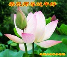 ֹ,ʡ󷨵ӹףʦ(29)
