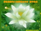 ֹ,ϴ󷨵ӹףʦ(27)
