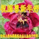 ֹ,ϵͳ󷨵ӹףʦ(21)

