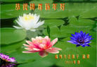 ֹ,󷨵ӹףʦ(24)
