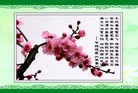 ֹ,ɳ󷨵ӹףʦ(25)
