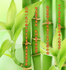 Published on 2/17/2015 ���ֹ�,���Ƿ���Ѻ�Ĵ󷨵��ӹ�ףʦ������(23��)
