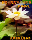 ֹ,󷨵ӹףʦ(25)
