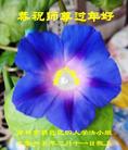 ֹ,д󷨵ӹףʦ(24)
