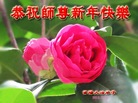 ֹ,ݴ󷨵ӹףʦ(27)
